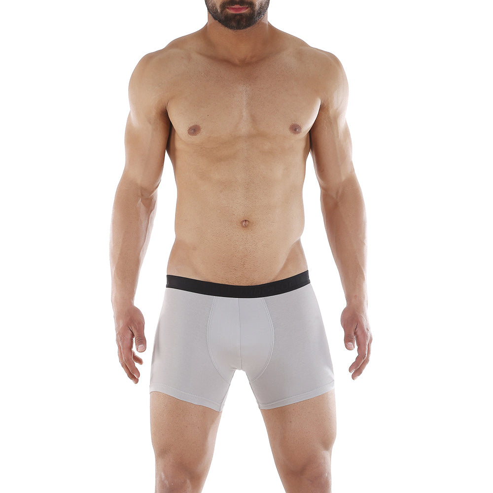 بوكسر امبراطور رمادى